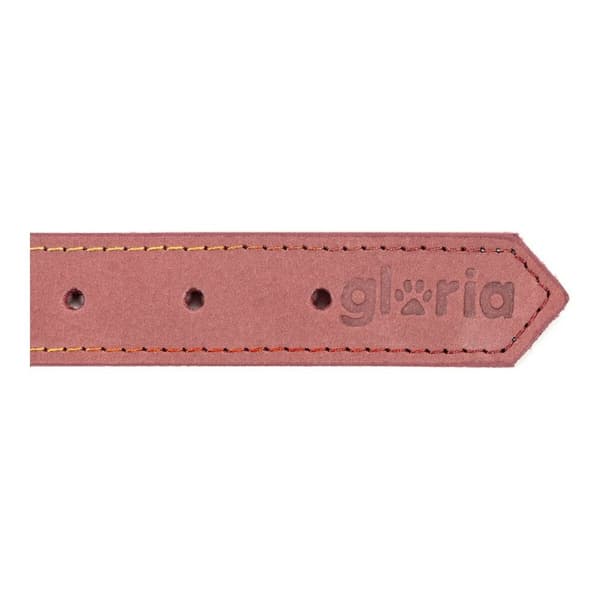 Hundehalsbånd Gloria Oasis Rosa (1,5 x 40 cm)