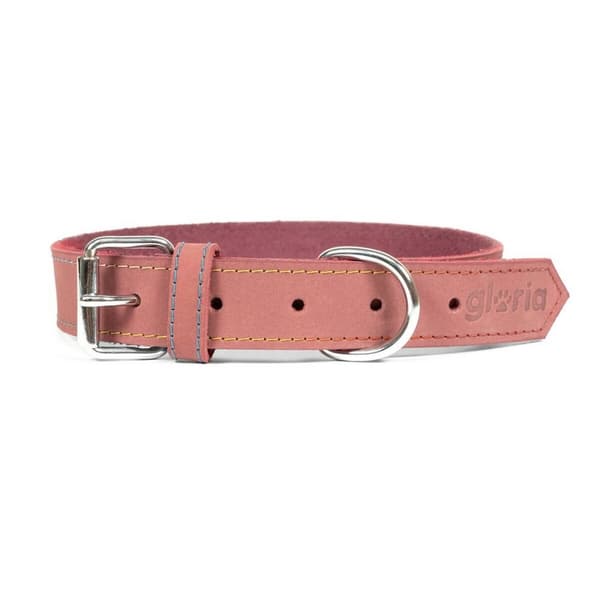 Hundehalsbånd Gloria Oasis Rosa (1,5 x 40 cm)