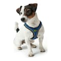 Miniatyrbilde 2 av 2: Hundesele Hunter Hilo-Comfort Blå Størrelse S (42-48 cm)