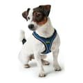 Miniatyrbilde 2 av 2: Hundesele Hunter Hilo-Comfort Blå Størrelse S/M (48-55 cm)
