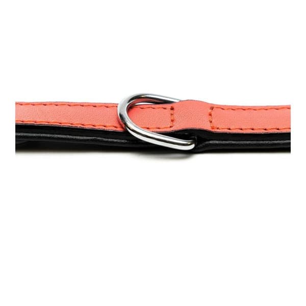 Hundehalsbånd Gloria Polstret Koral (35 x 1,5 cm)