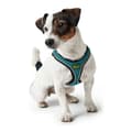 Miniatyrbilde 3 av 10: Hundesele Hunter Hilo Comfort 55-60 cm Størrelse M Turkis