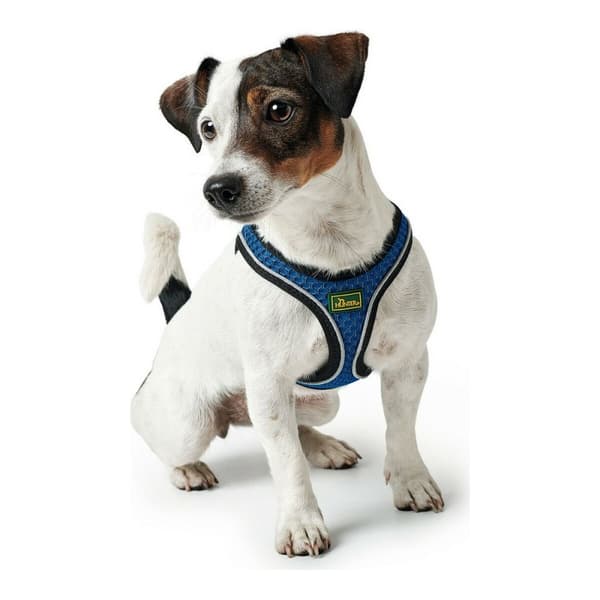 Hundesele Hunter 35-37 cm Blå XS