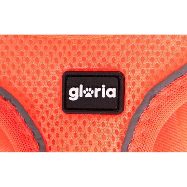 Hundesele Gloria Trek Star 29,4-32,6 cm 41,4-43 cm Oransje S