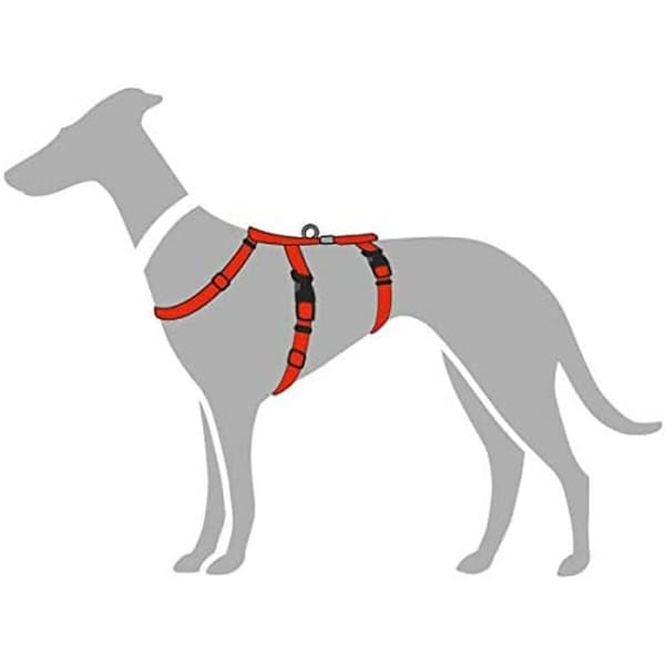 Hundesele Hunter 48-70 cm Rød S/M 36-51 cm
