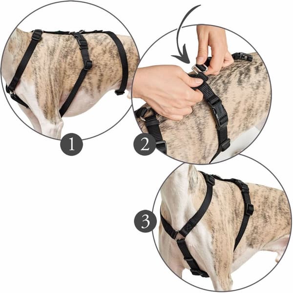 Hundesele Hunter 48-70 cm Rød S/M 36-51 cm