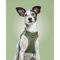 Miniatyrbilde 6 av 7: Hundesele Gloria 41,4-43 cm Grønn S 29,4-32,6 cm