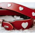 Miniatyrbilde 5 av 7: Hundehalsbånd Hunter Love M/L 47-54 cm Rød