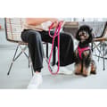 Miniatyrbilde 2 av 4: Hundesele Hunter Comfort Fuksia XXS 26-30 cm