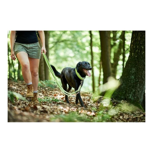 Koiran talutushihna Hunter HILO Lime väri (200 cm)