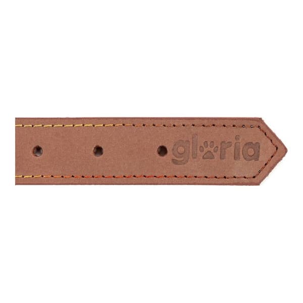 Koiran kaulapanta Gloria Oasis Ruskea (1,2 x 35 cm)