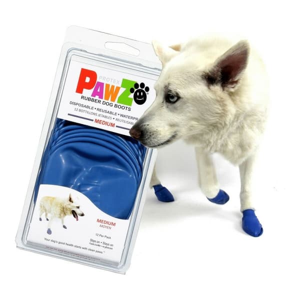 Korkeat Saappaat Pawz Koira 12 osaa Sininen Koko M