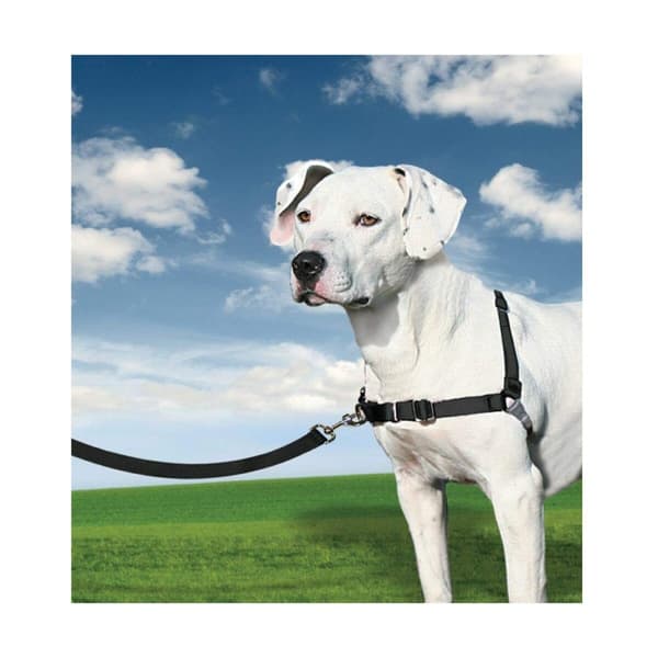 Lemmikkivaljaat PetSafe Easy Walk Musta Medianav (M)