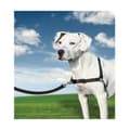 Pikkukuva 3 / 3: Lemmikkivaljaat PetSafe Easy Walk Musta Medianav (M)