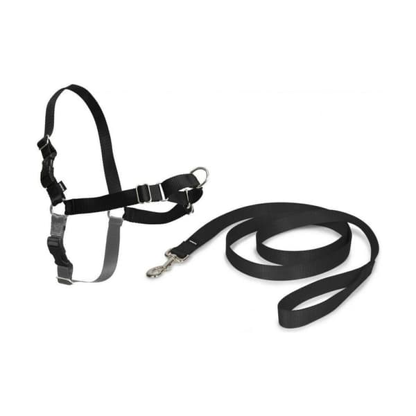 Lemmikkivaljaat PetSafe Easy Walk Musta Medianav (M)