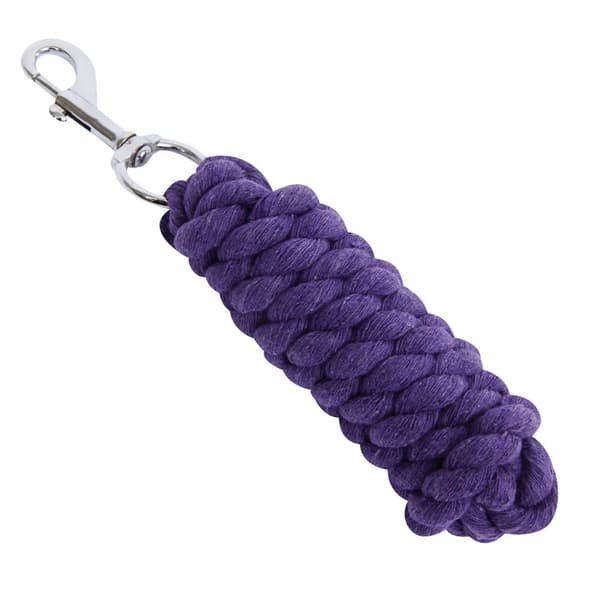 Roma Twisted Horse Lead