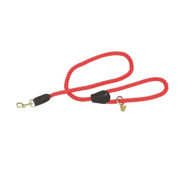 Digby & Fox Twisted Dog Lead