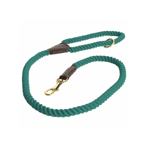 Digby & Fox Twisted Dog Lead