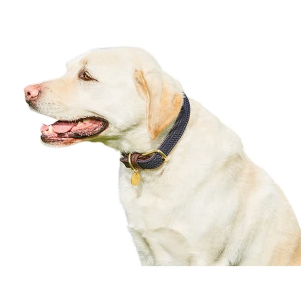 Weatherbeeta Plaited Leather Dog Collar