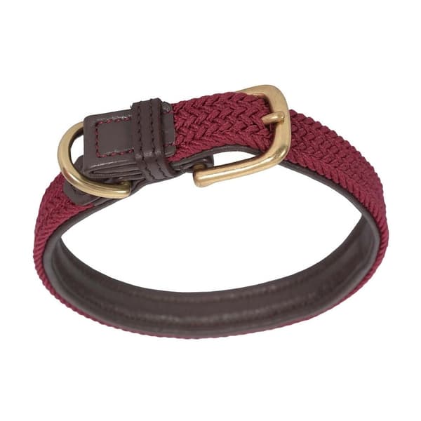 Weatherbeeta Plaited Leather Dog Collar