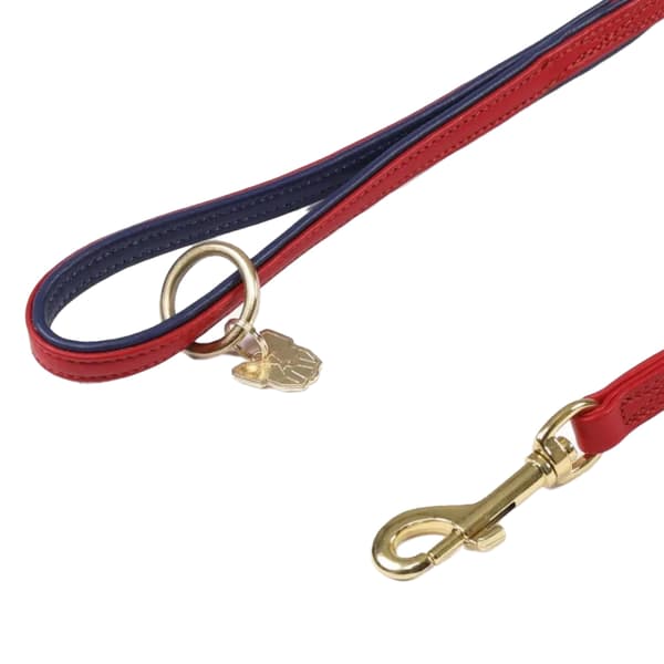 Digby & Fox Leather Padded Dog Lead