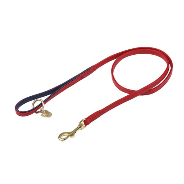 Digby & Fox Leather Padded Dog Lead