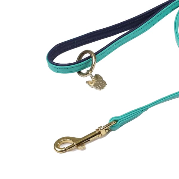 Digby & Fox Leather Padded Dog Lead