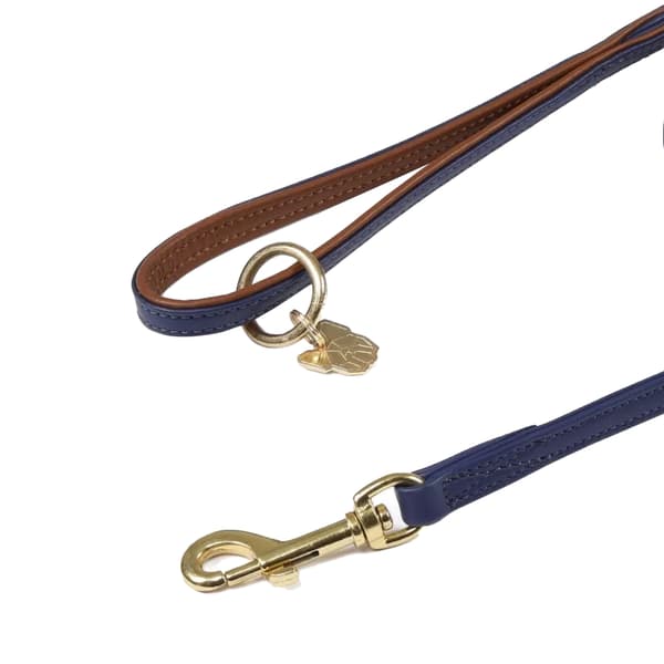 Digby & Fox Leather Padded Dog Lead