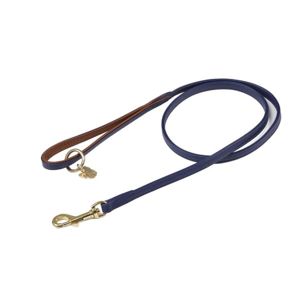 Digby & Fox Leather Padded Dog Lead