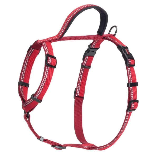 Halti Walking Two Tone Dog Harness