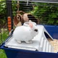 Miniatyrbild 5 av 11: Bur Ferplast Rabbit 120 Metall Plast 11,8 x 58,5 x 49,5 cm