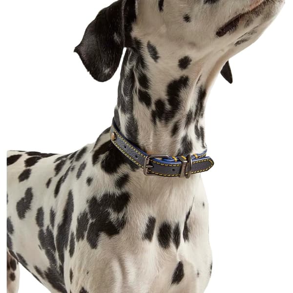 Joules Leather Dog Collar
