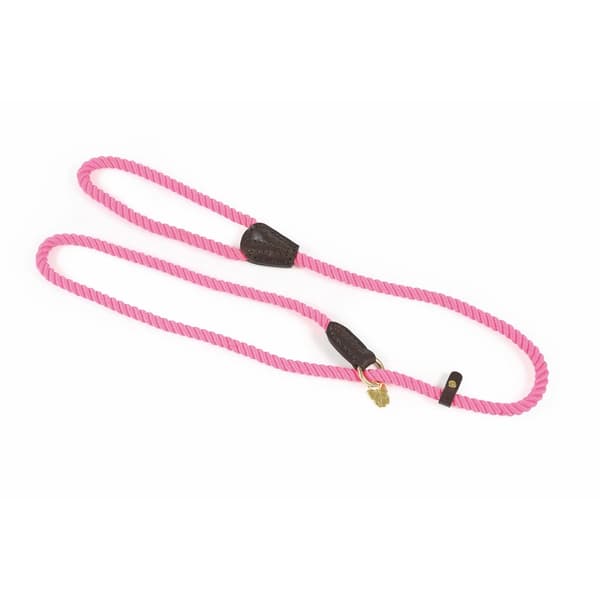 Digby & Fox Rope Leather Dog Slip Lead