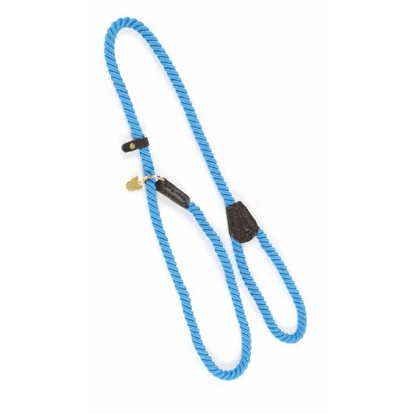 Digby & Fox Rope Leather Dog Slip Lead