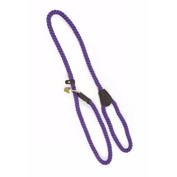 Digby & Fox Rope Leather Dog Slip Lead