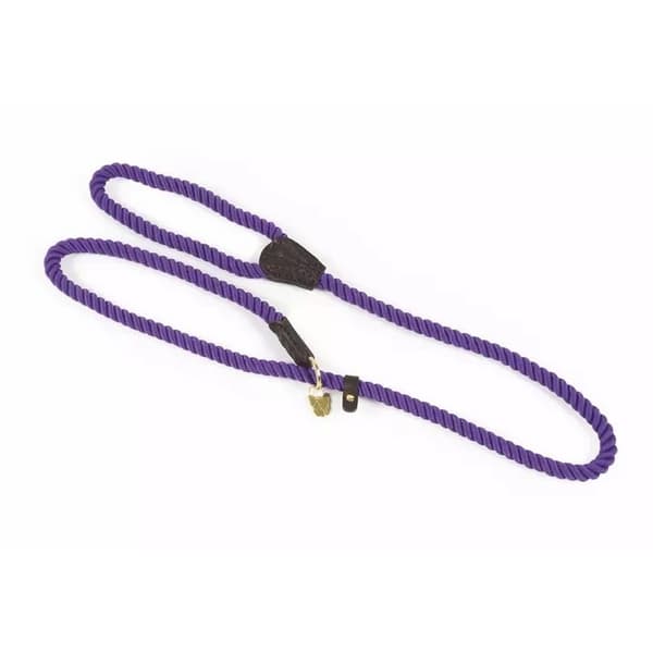 Digby & Fox Rope Leather Dog Slip Lead