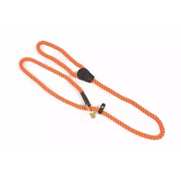 Digby & Fox Rope Leather Dog Slip Lead