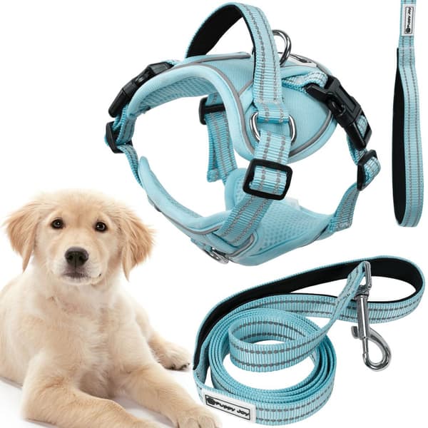 Hundesnor og sele PJ-062 Blå L