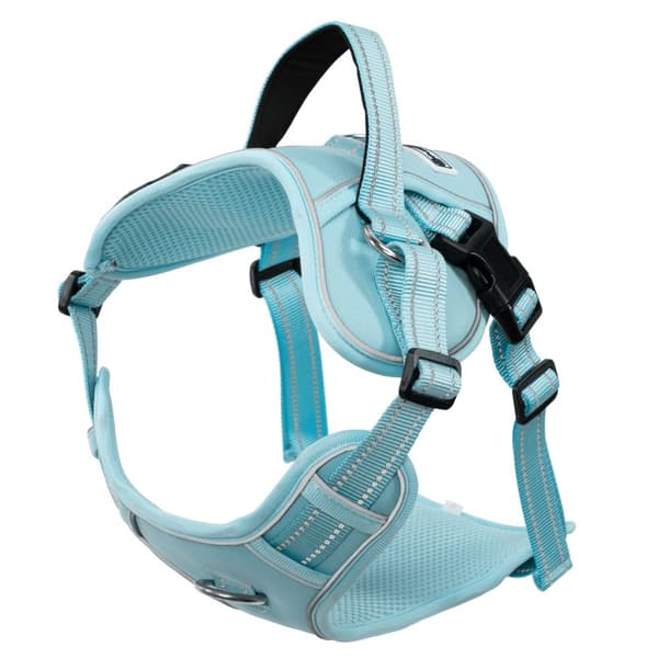 Hundesnor og sele PJ-066 Blå XL