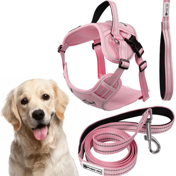 Koppel och sele för hund PJ-064 Rosa XL