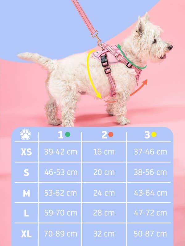 Hundesnor og sele PJ-053 Grøn S