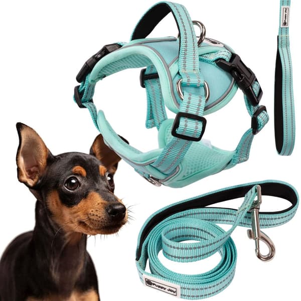 Hundesnor og sele PJ-053 Grøn S