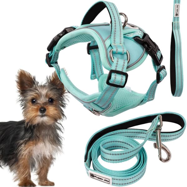 Koppel och sele för hund PJ-049 Grön XS