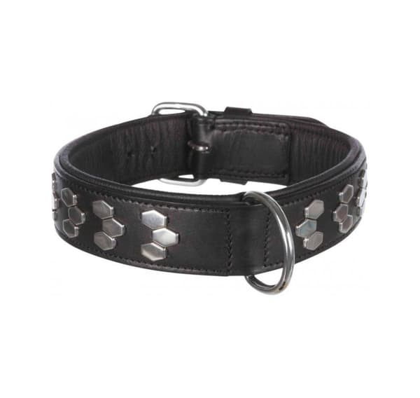Aktiv krave med nitter, L: 48–55 cm/40 mm, sort