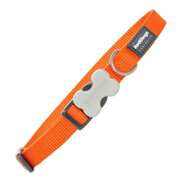 Hundhalsband Red Dingo Slät Orange (1,5 x 24-36 cm)