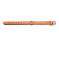 Miniatyrbild 2 av 7: Hundhalsband Gloria Vadderad Orange (50 x 2,5 cm)