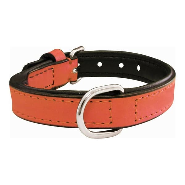 Hundehalsbånd Gloria Polstret Koral (40 x 2 cm)