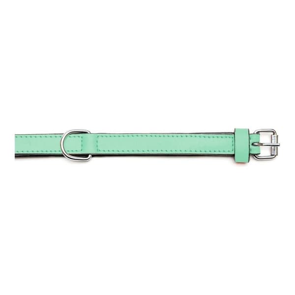 Hundehalsbånd Gloria Med puder Grøn (30 x 1,5 cm)