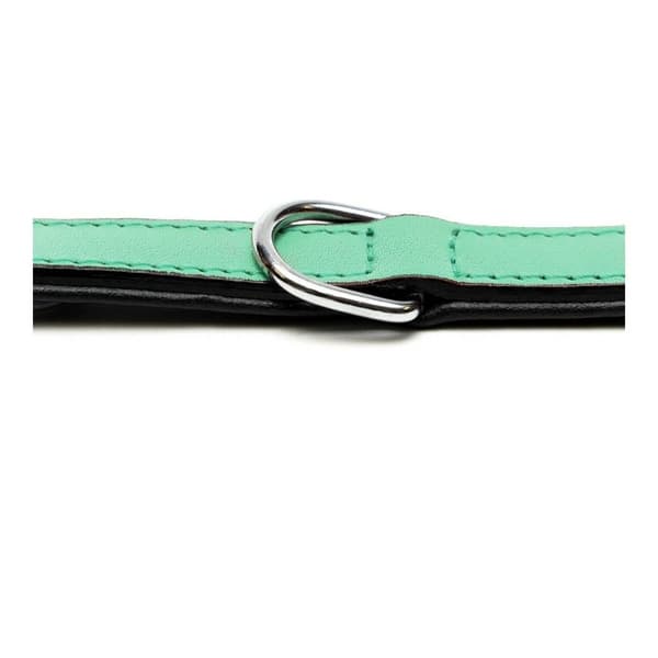 Hundehalsbånd Gloria Med puder Grøn (30 x 1,5 cm)