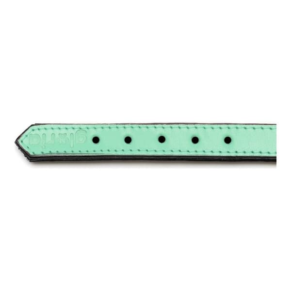 Hundehalsbånd Gloria Med puder Grøn (30 x 1,5 cm)